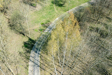 curved bicycle lane surrounded by green grass and trees. spring park at sunny morning. drone photo. - 766076865