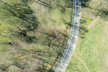 aerial view of bicycle lane through spring park landscape with trees shadows at sunny morning. - 766077026