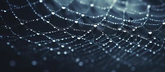 Poster A closeup photo of a spider web covered in water drops, resembling an electric blue pattern. The moisture on the web contrasts with the freezing city asphalt below, under a sky full of drops © 2rogan