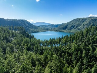 Calm water and forest in of the Green Lake, Rotorua, Bay of Plenty, New Zealand.
