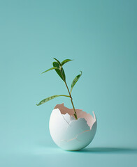 A sprout growing out of an eggshell, light blue background, product photography in the style of light blue background