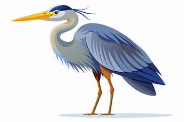 great-blue-heron-white-background.