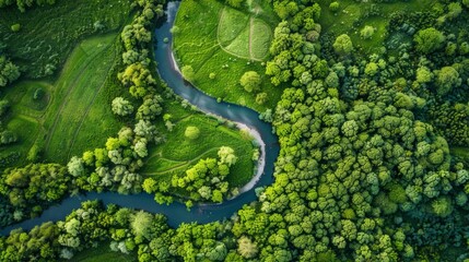 River Flowing Through Lush Green Forest