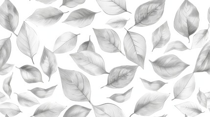 Chaotic Arrangement of Black and White Leaves