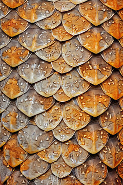 A closeup of a snakeskin texture pattern