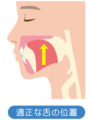 正しい舌の位置