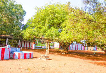 A small temple with amazing red and white painted compound wall covered with green trees, picture clicked at Their Kadu, red desert near Thiruchendur, Thuthukudi district, Tamilnadu, south India, Indi