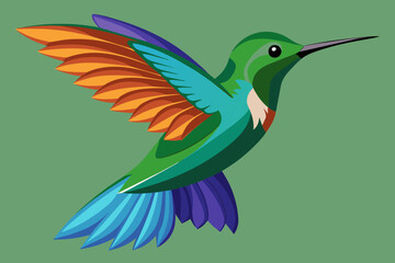 hummingbird.