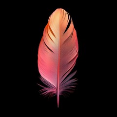This feather artfully transitions from orange to pink against a black background, offering a sense of style
