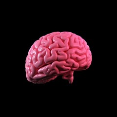 High-quality 3D image of a human brain isolated on a black background