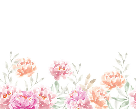Pink and Pastel Watercolor Peony Background