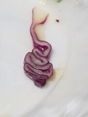 Purple cabbage 