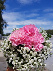 bouquet of pink roses