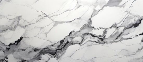 A closeup of a monochrome marble texture resembling a snowy landscape with intricate patterns, slopes and tiny twigs scattered across - obrazy, fototapety, plakaty