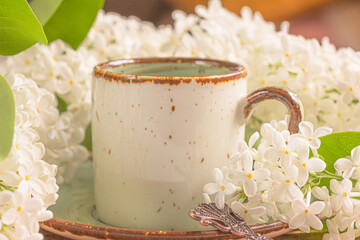 White Lilac flowers and a cup of coffee or tea on wooden background. Spring, renewal concept