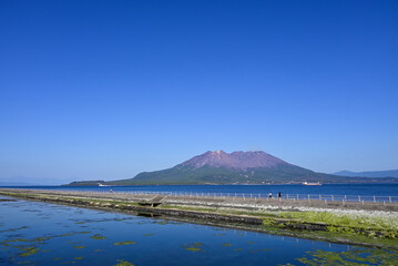 水路の先の海に浮かぶ桜島