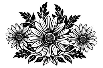 black and white chrysanthemum