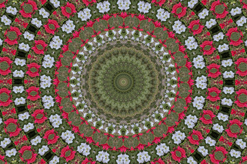 Digitally generated ceiling mural wallpapers.