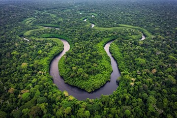 Aerial view of a winding river cutting through a dense, green forest.