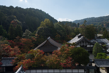 Fototapeta na wymiar Traditional Japanese Temple Among Maple Leaves
