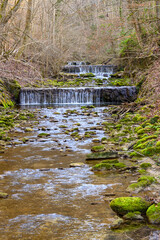 Woodland Waterfall Serenity