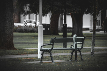 Solitary Park Bench