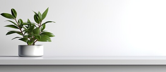 A houseplant sits in a flowerpot on a white shelf next to a window in a rectangular building, bringing life to the room with its green leaves