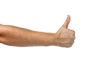 The male hand showing thumbs up sign. - 766146612