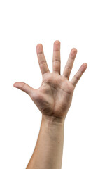 A man's hand raised up shows the number five.