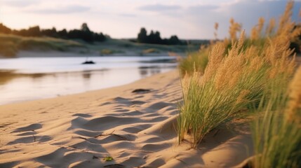 river bank with sand dunes with defocused shallow waters of river on the background .