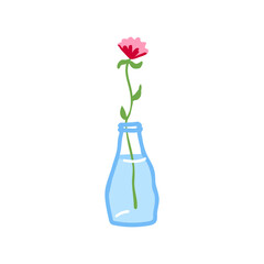 Fresh flower in glass vase. Fragile delicate stems in water. Cut floral plant. Gentle spring blooms, blossomed summer wildflower bouquet isolated on white background. Flat vector illustration