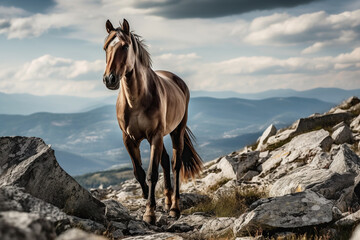 Magnificent Horse Running In Rocky Mountains - 766152238