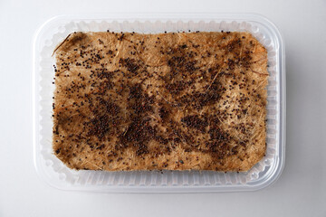 Plastic tray with jute mat for growing microgreens, top view, broccoli seeds.