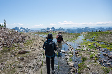 Couple crossing the stream at Skyline Loop Trail in summer. Unrecognizable crowd of people on the...
