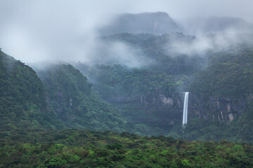 西表島、ピナイサーラの滝の遠景