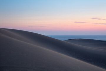 砂丘の朝