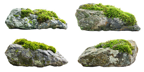 moss covered rocks set