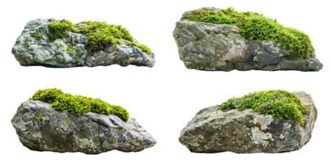 moss covered rocks set