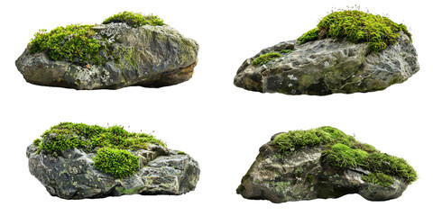 moss covered rocks set - Powered by Adobe