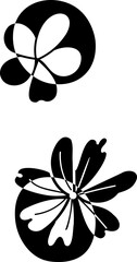 Colon punctuation alphabet flower botanical decorative blossom nature letter.