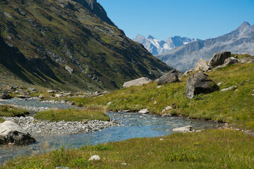 View of a little alpine stream in the alps of Alto Adige, Italy - 766165218