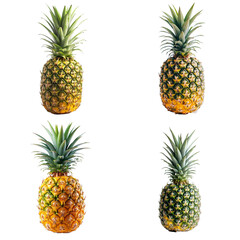 set of pineapple isolated on white