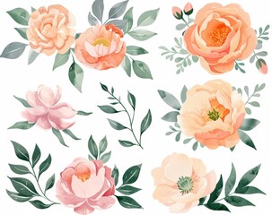 Various colorful flowers arranged on a clean white background