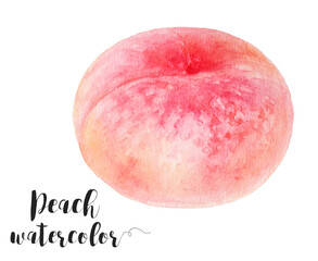 Watercolor illustration of peach fruit close up. Design template for packaging, menu, postcards.