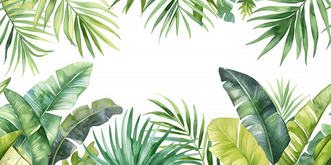 Close-up nature view of palm and monstera and fern leaves background. Lying down, gloomy nature concept, tropical leaves. leaf pattern wallpaper