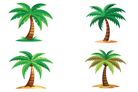 Color image of cartoon palm tree on white background vector illustration