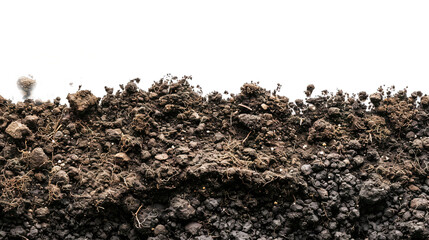 pile of dirt - potting soil isolated on transparent background - obrazy, fototapety, plakaty