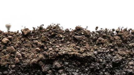 Foto op Plexiglas pile of dirt - potting soil isolated on transparent background © Brian