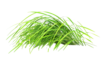 Tuft of bright green grass against transparent background