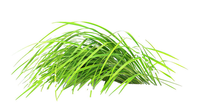 Tuft of bright green grass against transparent background